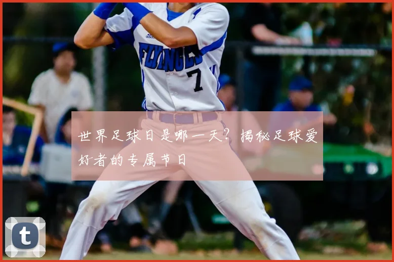 世界足球日是哪一天？揭秘足球爱好者的专属节日