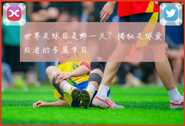 世界足球日是哪一天？揭秘足球爱好者的专属节日